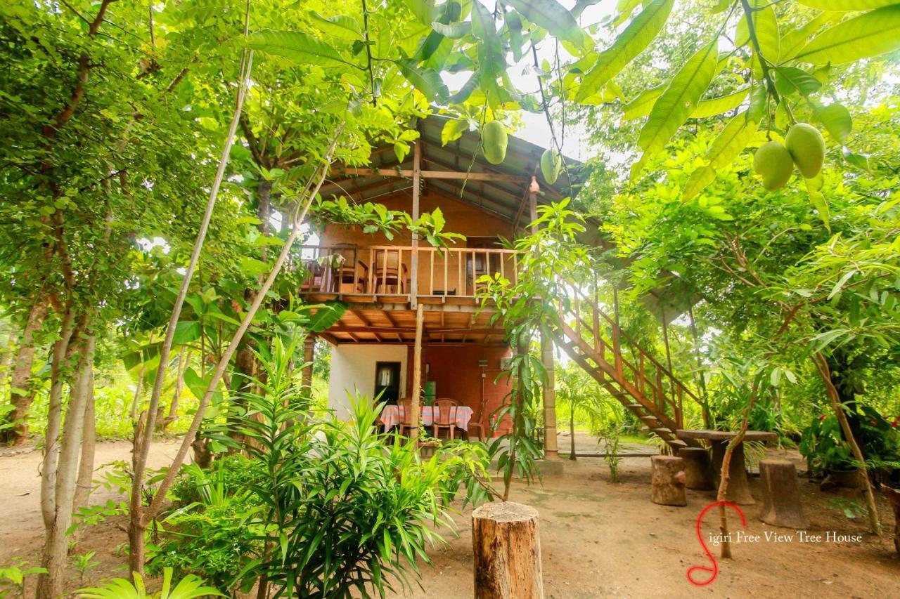 Sigiriya Free View Tree House & Villa Exteriör bild