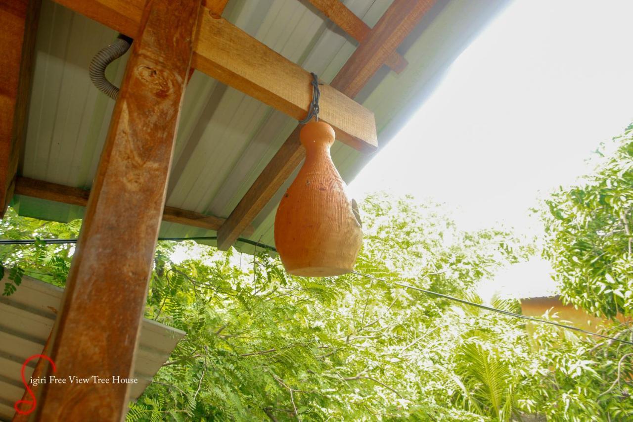 Sigiriya Free View Tree House & Villa Exteriör bild