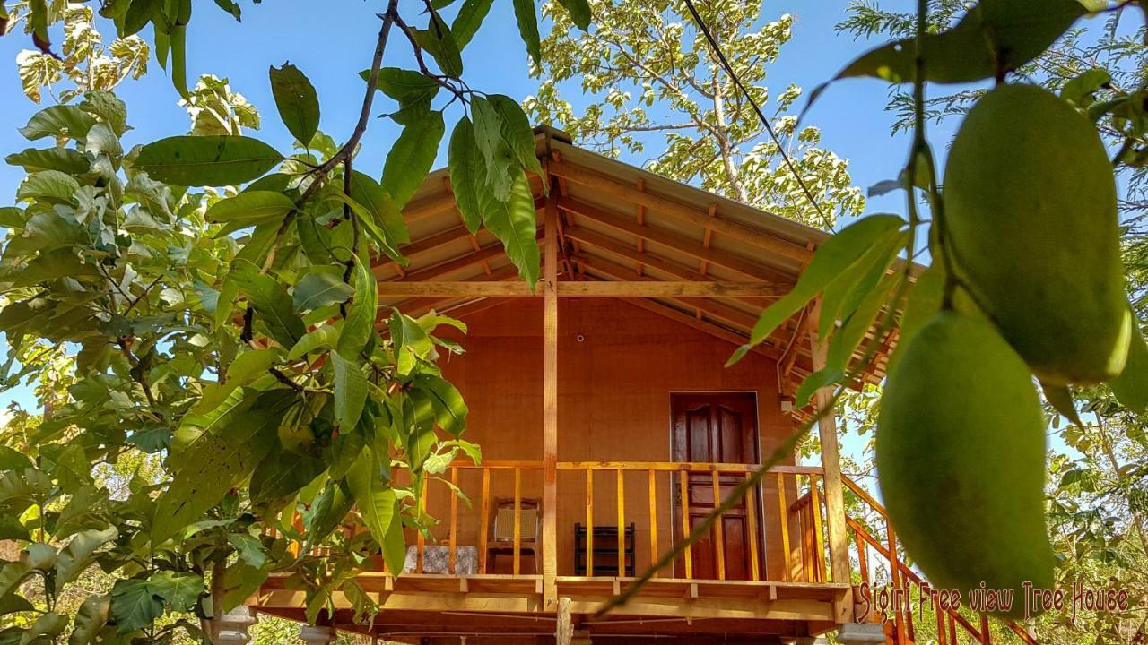 Sigiriya Free View Tree House & Villa Exteriör bild