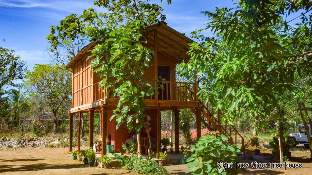 Sigiriya Free View Tree House & Villa Exteriör bild