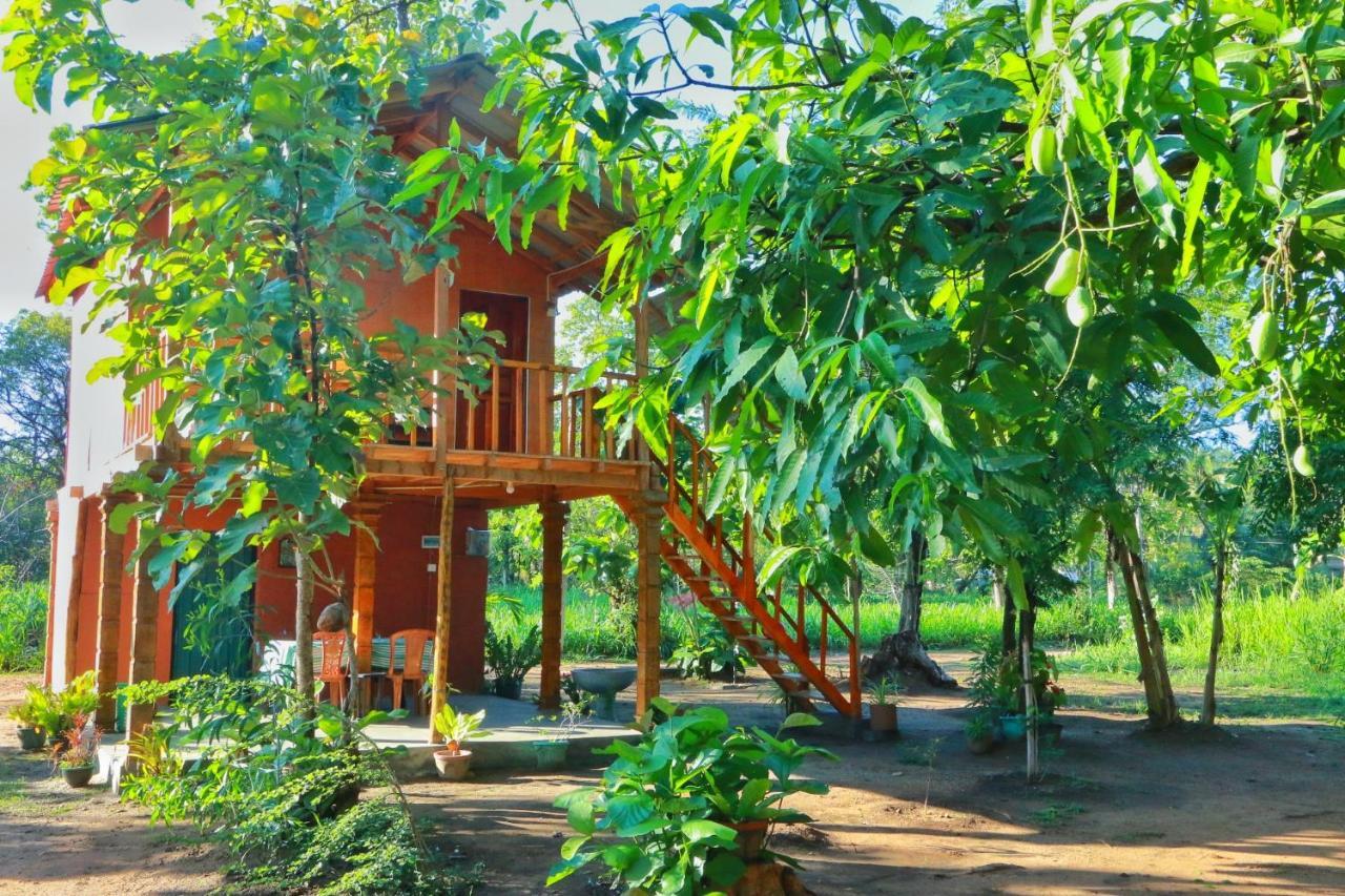 Sigiriya Free View Tree House & Villa Exteriör bild