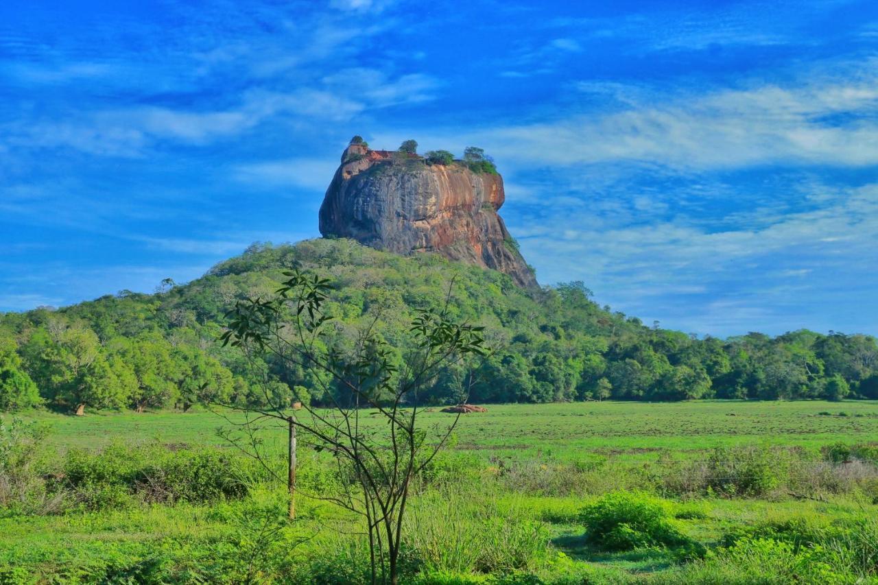 Sigiriya Free View Tree House & Villa Exteriör bild
