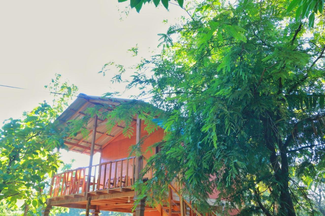 Sigiriya Free View Tree House & Villa Exteriör bild