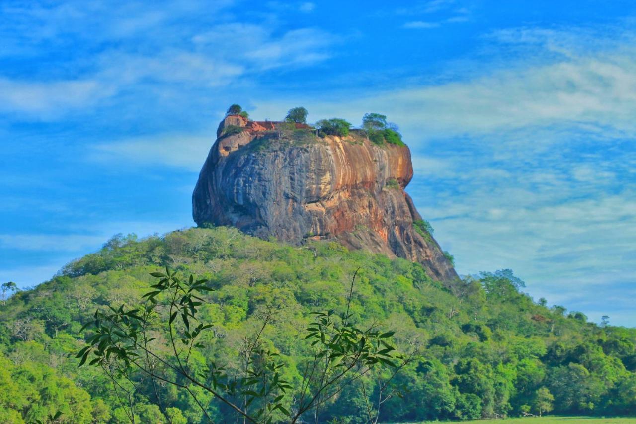 Sigiriya Free View Tree House & Villa Exteriör bild